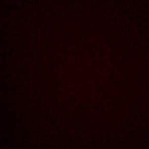 Meet your Posher, Jonah